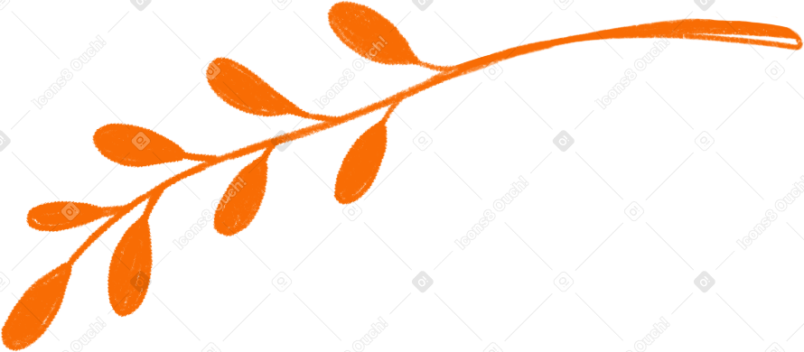 orange sprig with leaves Illustration in PNG, SVG