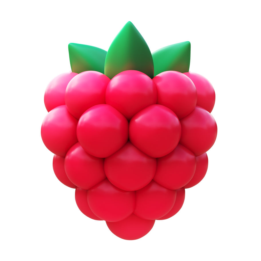 raspberry Illustration in PNG, SVG