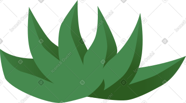 草 PNG, SVG