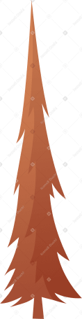 tall orange spruce Illustration in PNG, SVG