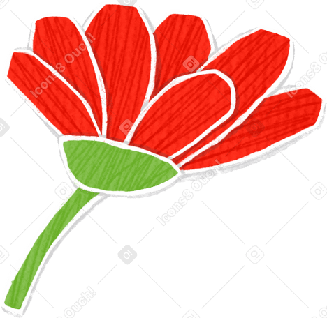small red flower on a short stem Illustration in PNG, SVG