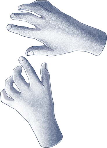 realistic hands PNG, SVG
