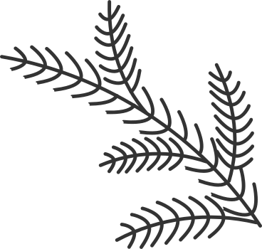 Galho de árvore PNG, SVG