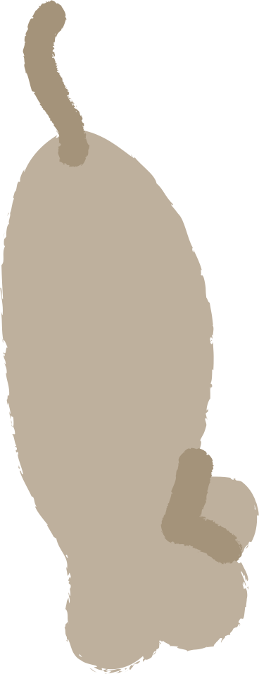 Topo PNG, SVG