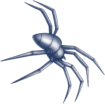 spider PNG, SVG