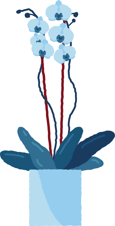 blue orchid PNG, SVG