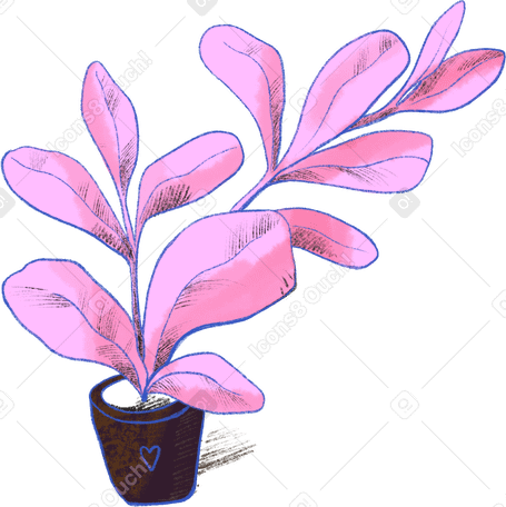 indoor pink flower PNG、SVG