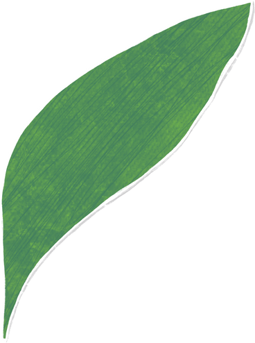 large dark green curved leaf PNG, SVG