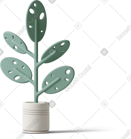 3D 白锅有洞的龟背竹植物 PNG, SVG