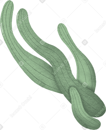 водоросли в PNG, SVG