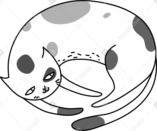 sleeping cat Illustration in PNG, SVG