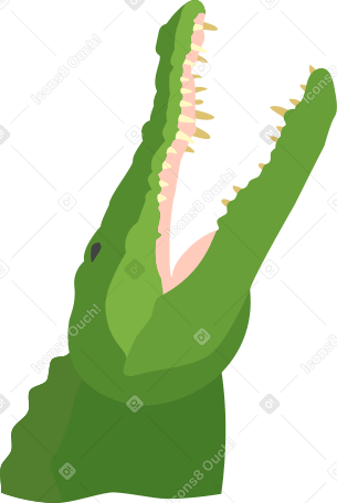 caimán PNG, SVG