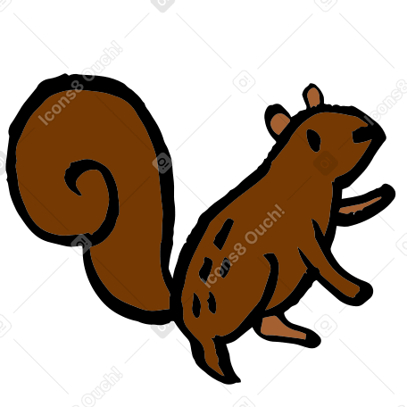 squirrel Illustration in PNG, SVG