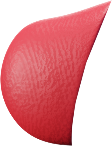 Red bulbous nose PNG, SVG