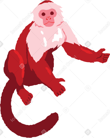 猴 PNG, SVG