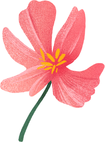 핑크색 꽃 PNG, SVG