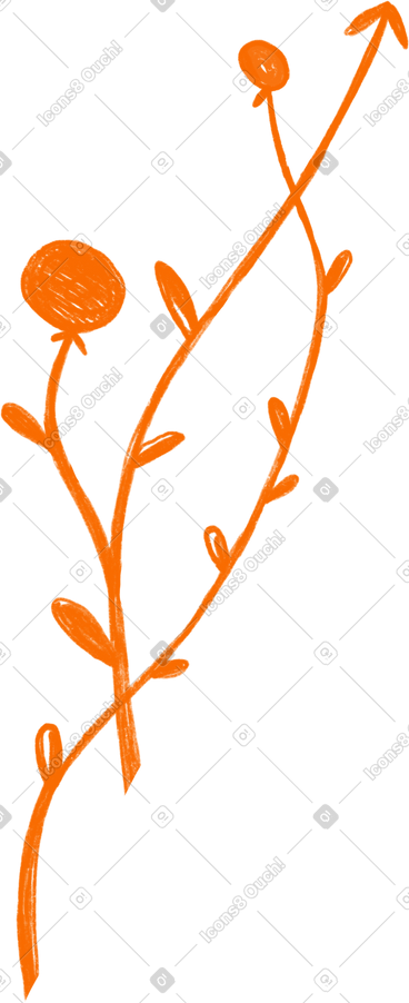 Orange plant stem with leaves PNG, SVG