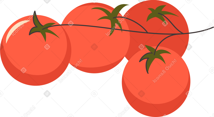tomato branch Illustration in PNG, SVG