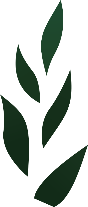 나뭇잎 PNG, SVG