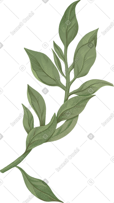 Thick green branch with leaves PNG, SVG