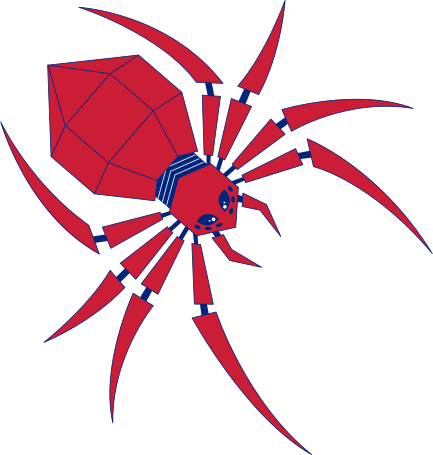 spider Illustration in PNG, SVG