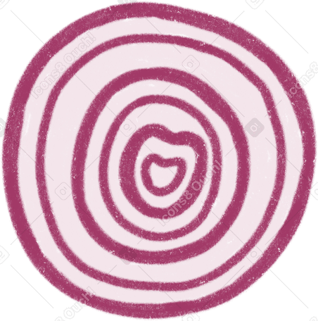 onion slice PNG, SVG