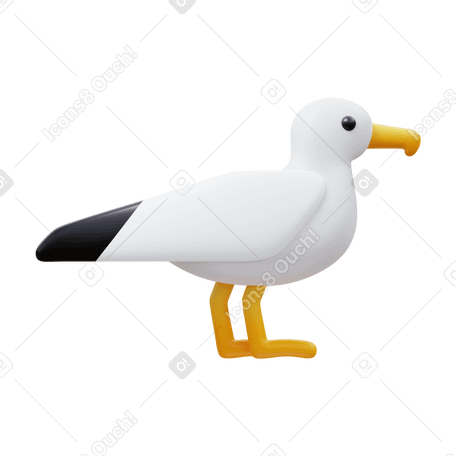 3D seagull PNG, SVG