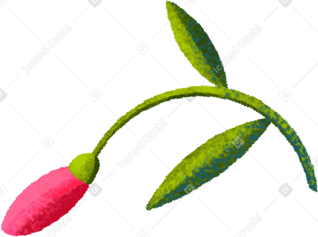short twig with red bud Illustration in PNG, SVG