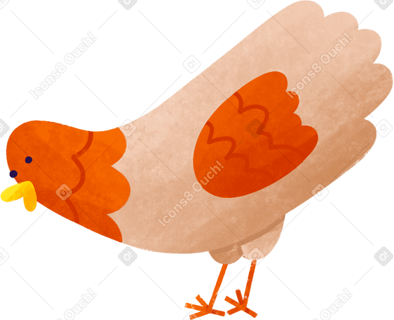 курица в PNG, SVG