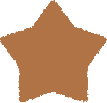 Étoile marron PNG, SVG
