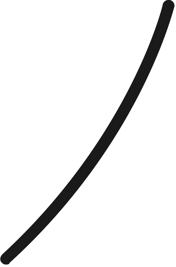 decoration curve Illustration in PNG, SVG