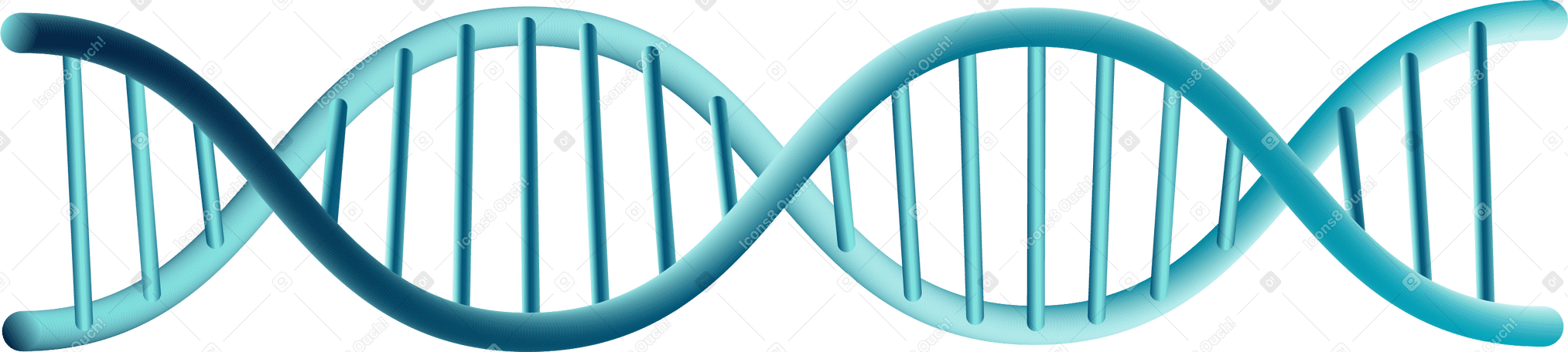 Dna 사슬 PNG, SVG