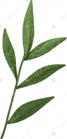 green twig PNG、SVG