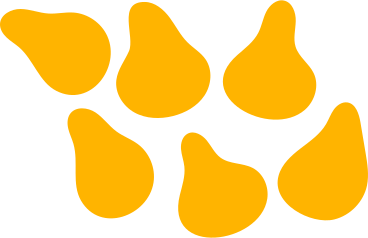 pears PNG, SVG