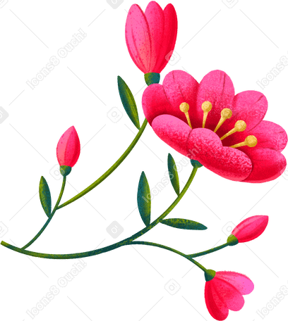 red flowers PNG, SVG