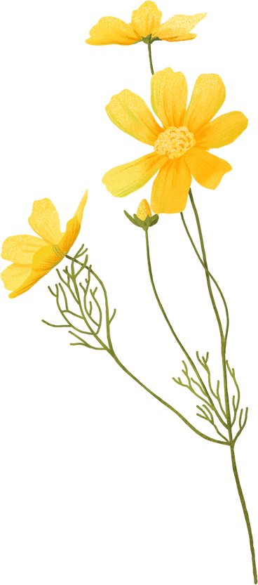 노란색 섬세한 꽃과 곡선 장식에 새싹 PNG, SVG