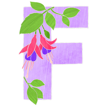 Lila buchstabe f mit fuchsiafarbenen blumen PNG, SVG