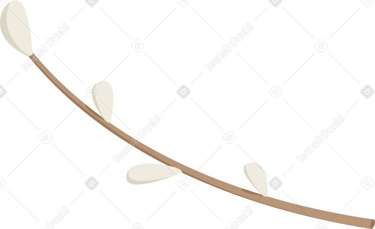 Ramo di salice PNG, SVG