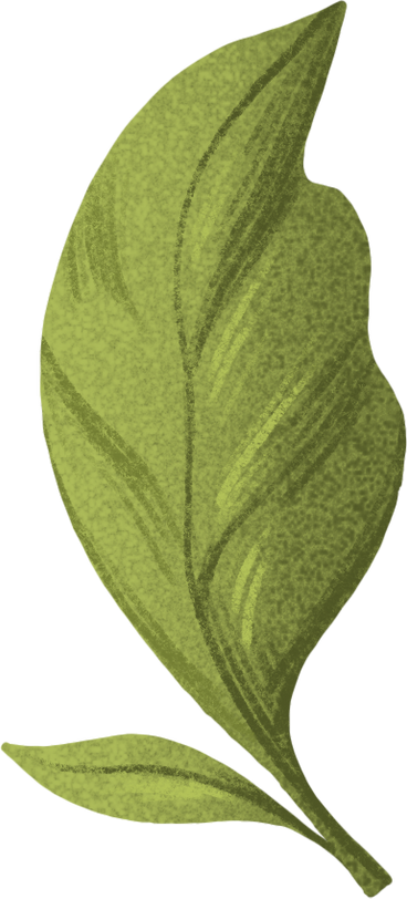 large and small green leaf PNG, SVG