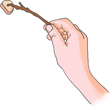 Right hand holds a marshmallow stick в PNG, SVG