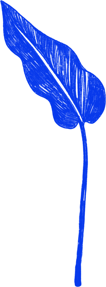 blue leaf plant PNG, SVG