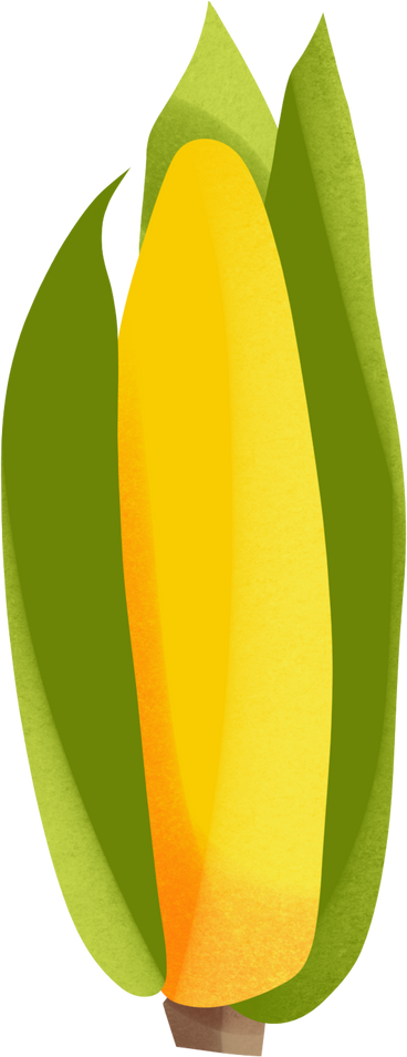 ear of corn PNG, SVG
