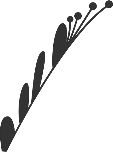 黒い植物 PNG、SVG