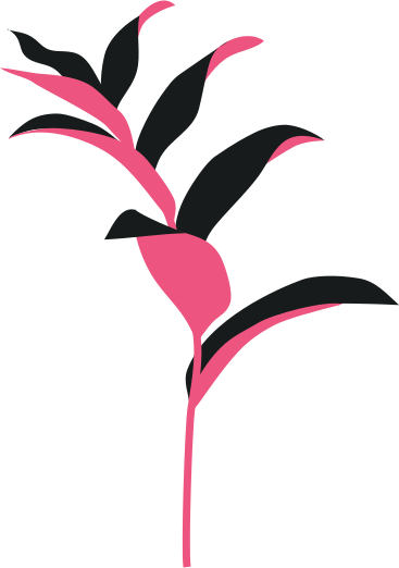 office plant PNG, SVG