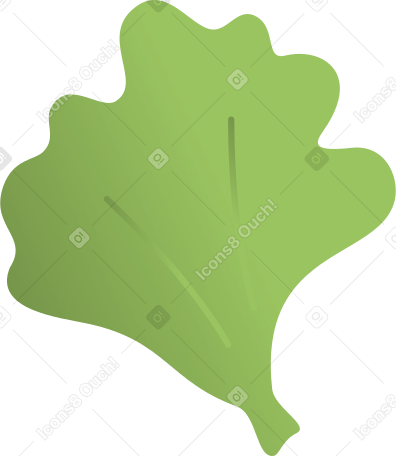 lettuce leaf Illustration in PNG, SVG