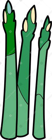 asparago PNG, SVG
