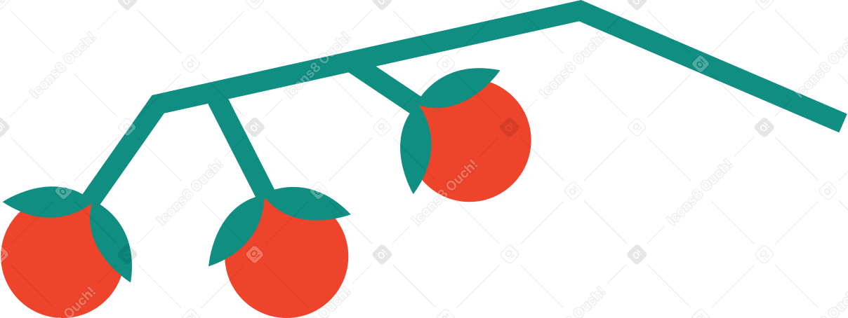 томаты черри в PNG, SVG