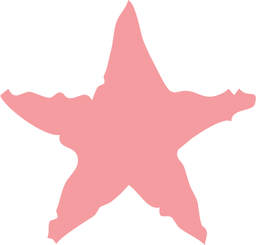 Pink star shape PNG、SVG