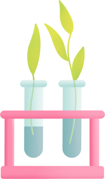 flasks with plants PNG, SVG