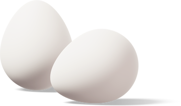 Two white eggs PNG, SVG